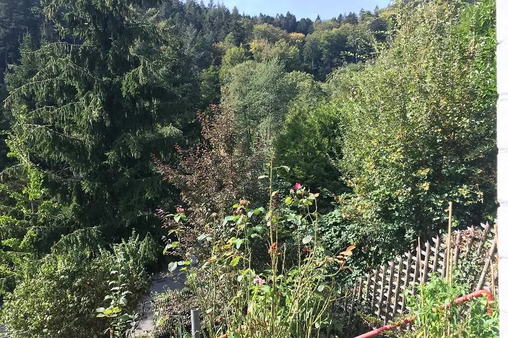 Exklusive Ferienwohnung MIRO 25 m² in ruhiger Lage Heidelberg 0*,  Deutschland